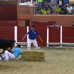 foto de los novillos